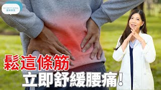 鬆這條筋立即舒緩腰痛脊醫王鳳恩 中Eng Sub Do this stretch to relief lower back pain  Dr Matty Wong DC [upl. by Anavlis]