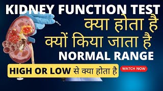 kidney function test in hindi  kidney function test kaise hota hai  kft test report in hindi [upl. by Lourdes712]