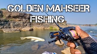 Golden Mahseer Fishing  Snakehead Fishing  wollago attu Fishing  Today is All Fishing [upl. by Aliuqaj]