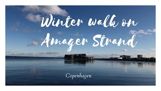 Lockdown in Copenhagen Winter walk on Amager Strand [upl. by Airel]