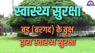 बरगद के वृक्ष द्वारा स्वास्थ्य सुरक्षा  Amazing Benefits of Banyan Tree  बरगद के फायदे क्या है [upl. by Xeno]