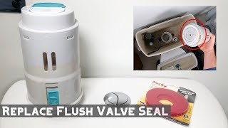 How to Replace Dual Flush Toilet Valve Seal [upl. by Dearden]