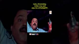 ബൾബ് മാറാൻ കേറി പെട്ടുപോയി youtubeshorts malayalam reels vaniviswanath sureshgopi khushboo [upl. by Smallman677]