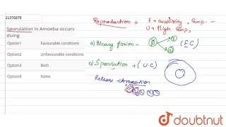 Sporulation in Amoeba occurs duing [upl. by Conrad750]