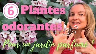 6 plantes odorantes pour un jardin agréablement parfumé [upl. by Aztin]