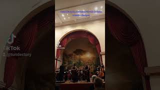 Ceman  Central European Academies Network Orchestra  concerto a Budapest [upl. by Ayaj]