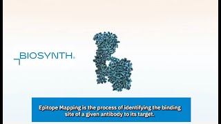 Epitope Mapping [upl. by Hube]