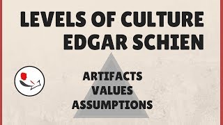 Organizational Culture Edgar Schein [upl. by Anilys]