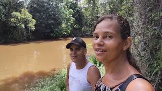 VENDIDA 8 HECTARE por 90 MIL COM ROÇA DE CACAU UM RIO  PASTO avendaemilhéusba [upl. by Norven709]