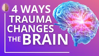 How Trauma and PTSD Change the Brain [upl. by Sad]