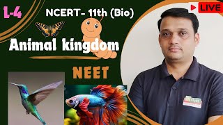 Animal kingdomL4 Chordates animal kingdom neetbiology ncert ncertbiology 11thbio [upl. by Eimaral]