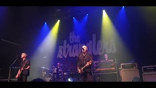 The Stranglers  Hanging Around live  Montpellier FR [upl. by Guenevere]