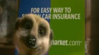 New Compare The Meerkat Advert [upl. by Gladstone]