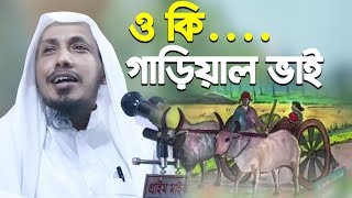 ও কি গাড়িয়াল ভাইগানগাইলেন Rafiqullah Afsari New Waz নোয়াখালী হুজুর রফিক উল্লাহ আফসারী [upl. by Enelyam856]