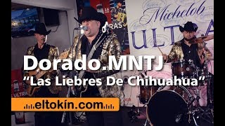 Las Liebres De Chihuahua  DoradoMNTJ  En Vivo [upl. by Ainelec]