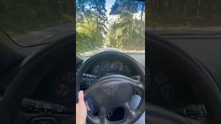 Cruising in the rarest c5 corvette 😂 [upl. by Nnuahs]