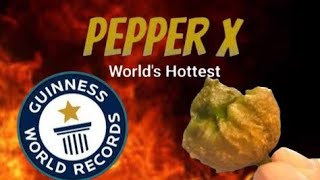 Pepper X Worlds Hottest Pepper [upl. by Eberhard]