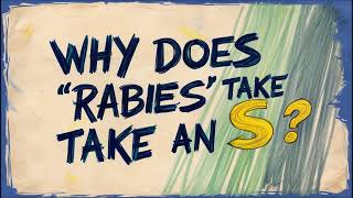 Pourquoi rabies prendtil un s en anglais [upl. by Tsenrae]