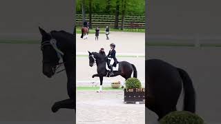 😍😍😍 horse edit dressage equestrain fypシ゚ [upl. by Tterab]