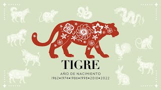 ⚠️ 2024 Horóscopo Chino Tigre ⚠️Esto te hara sentir mejor 🐅🐯 [upl. by Eerdua]