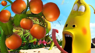 Battle on the deserted island🦗 Larva Terbaru 2022🌴 Funniest Cartoons 🍉Larva Tuba Show [upl. by Itsa79]