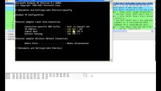 Wireshark Packet Capture Subnet Mask ARP and DNS Part 1 [upl. by Holna]