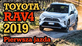 Toyota RAV4 2019  PIERWSZA JAZDA [upl. by Rambert]