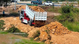 Spend Time 5 Day Filling Pond By Miniature Truck And Komatsu D40 Dozer Working Push And Move [upl. by Roosevelt378]