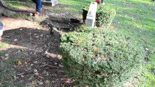 The Grave of Harriet Tubman  Fort Hill Cemetery in Auburn NY [upl. by Dunham]