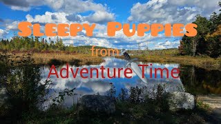 Sleepy Puppies cover from Adventure Time [upl. by Elocan]