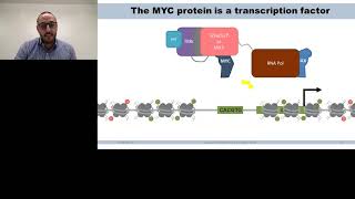 Destabilization and Degradation of MYC More Ways Than One [upl. by Entruoc]