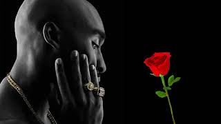 💫Emotional 2Pac Sad Rap Mix 2021💫 Best 2Pac Sad Music Mix 2021 ft Eminem Biggie  Rip Tupac Shakur [upl. by Ahseined]