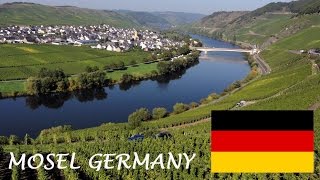 Mosel Wine tourism German Riesling Wine Moselle Valley Germany wines DeutschlandTourismus Travel [upl. by Enelym611]