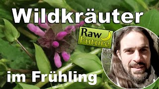 Wildkräuter im Frühling Über 20 Pflanzen Bestimmungshilfe in diesem Video  Raw Future TALK 😃 [upl. by Holofernes]