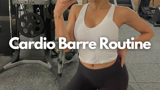 Burn Fat and Tone Your Muscles Pilates Cardio Barre Workout in 20 Mins [upl. by Lindholm66]