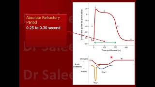 Refractory period in cardiac muscle fiber [upl. by Ycniuqed]