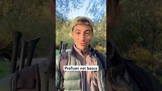 Profumi nel bosco cervo abruzzo animali [upl. by Dulcinea]