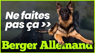 Berger Allemand  préparer larrivée de votre chiot à la maison [upl. by Torey687]