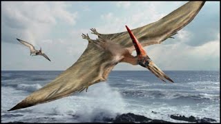 Dinosaurs National Geographic Documentary  Flying Sky Monster  BBC Wildlife [upl. by Swigart]