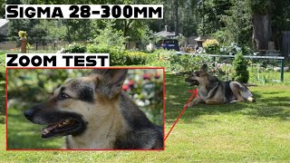 Sigma 28300mm Macro  Hyperzoom Lens Unboxing  Test [upl. by Yeniffit]