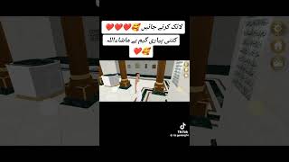 Mashallah katine achi game ha loveforislam vrilshorts islamicshort [upl. by Ennove]