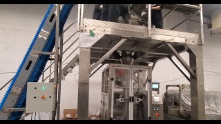 CAM CV0720 vertical bagging system running frozen breaded items at 20ppm [upl. by Faria]