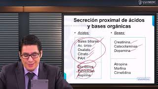 RM 2024 Nefro 4 Farmacología Renal Diuréticos Antagonistas de receptores de ADH BB Calcio antag [upl. by Egwin]