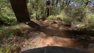 Narbethong DH mtb trail  full run [upl. by Laundes]