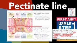 Pectinate line  difference BW internal amp external haemorrhoids Piles Anal fissure in HindiUrdu [upl. by Ahsir]