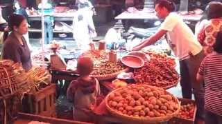 Tomohon Market  A Traditional Market [upl. by Florentia901]