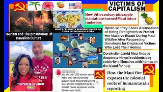 PURE EVIL Were The Maui Hawaii Fires A Inside Job DEEPDIVE Capitalism Ecocide True Crime ETC [upl. by Zelikow]