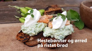 Hestebønner og ørred på ristet brød  Broad beans and trout on toast [upl. by Sarene]