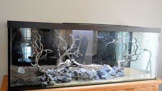 💫 New 210 Gallon  Discus Hardscape 4K [upl. by Georgie]