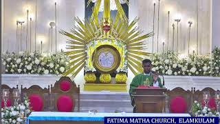 14 Oct 2024  HOLYMASS  ദിവ്യബലി  FATIMA MATHA CHURCH ELAMKULAM 600 PM [upl. by Haeluj]